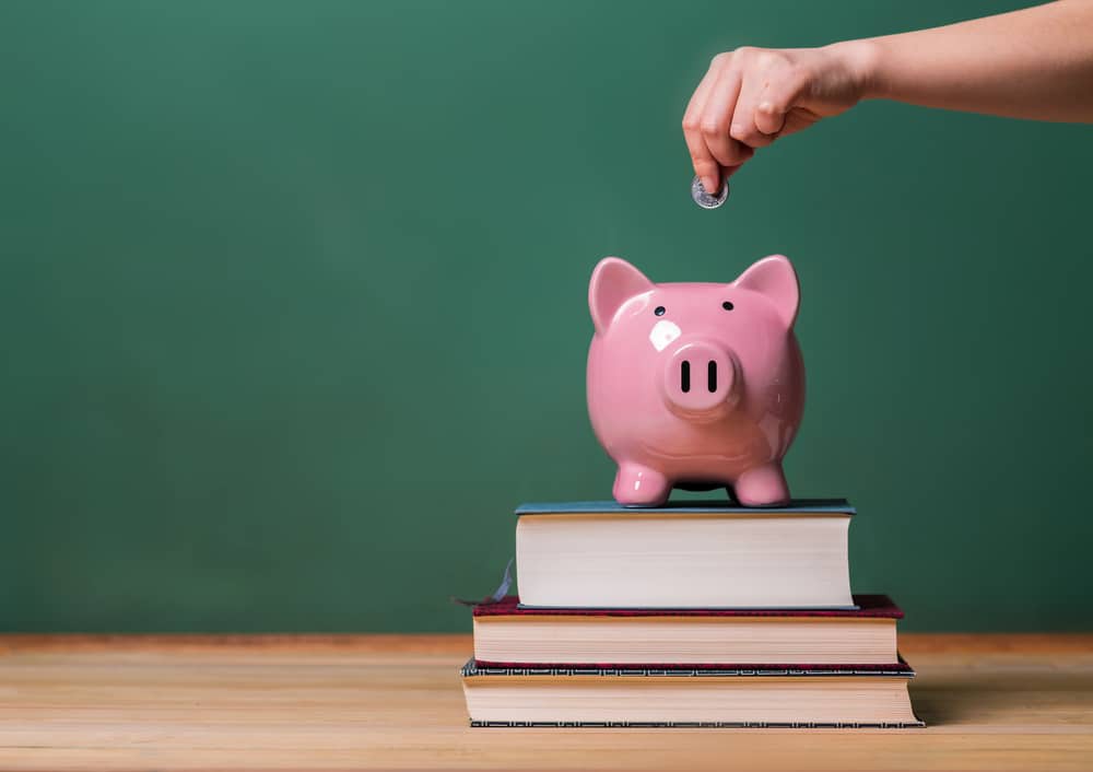 cost or budget of SEO