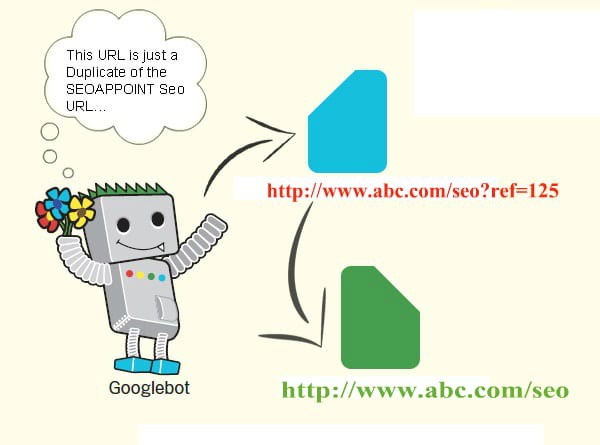Canonical Tag Implementation